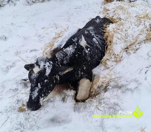 Politie Westelijke Mijnstreek
