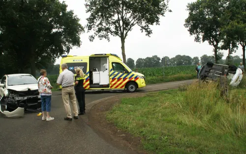 aviary image 1626181866353