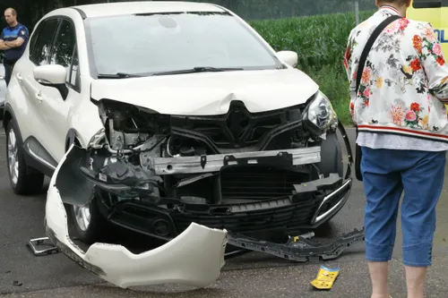 aviary image 1626181897250