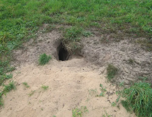 dijkschouw holen gaten