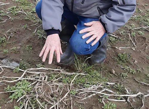 gerrit ligtenberg de trotse vinden met het eerste kievitsei in overijssel onder