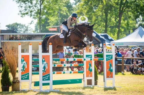 springpaard CH Rouveen hindernis