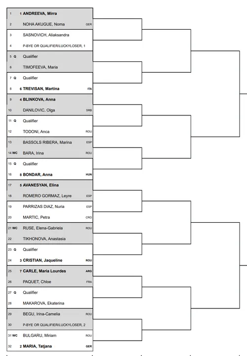 Cuadro Iasi Open 2024