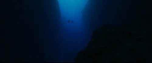 14665 as the dive 1123