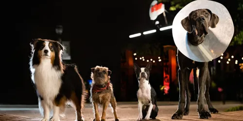 2555 d003 00269 0304r comp crop 1140x570