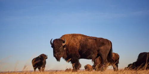 bc 20211008 03974 1140x570