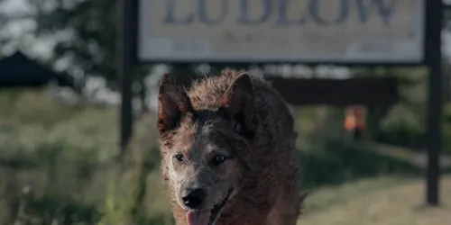 f1uswgaaiaehgki 1140x570