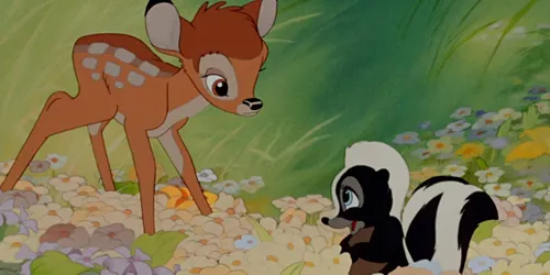 fgieklbmplof5cb88wod0cwhwte 1140x570