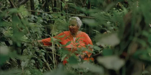 uc3awu9pullnphgdvkxjncztxniuqoimif2paghg 1140x570