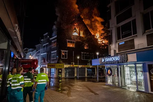 brand febo 1