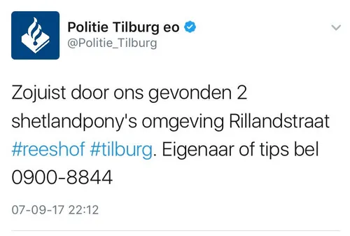 shetlanders tilburg