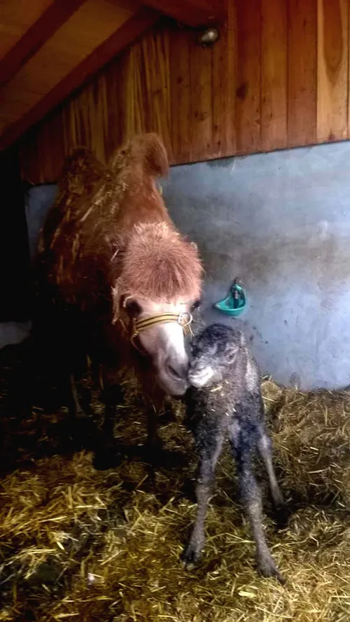 11115598 858759647516954 6807203120334748836 n