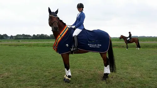 11892079 10206230111604516 5904472133031820726 n