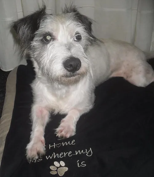 12316234 506212172890870 4967659020095178623 n1