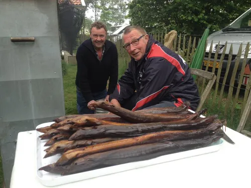 551480 925809854142446 751340184933100042 n