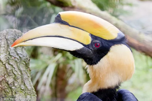 106128048 4581100168568566 6071767019663799353 o