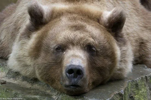 12465903 1157231094288841 5935161773265242923 o