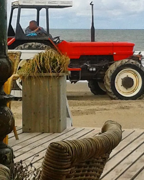 13900123 1781267315443262 8480067763197904873 n