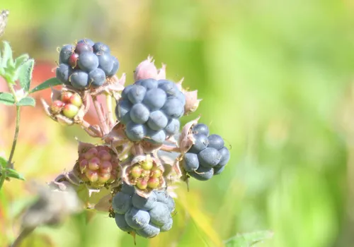 20157521 10214166379100591 6601566781301093169 o ejw