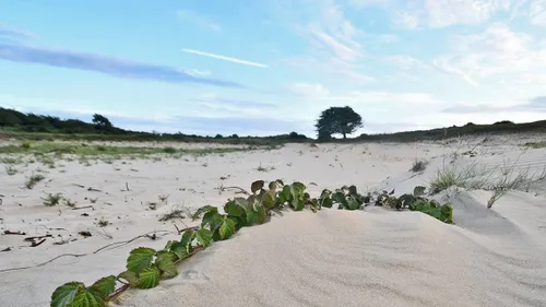 20615855 10214313724224127 3725701999089832055 o ejw