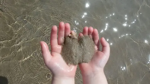 2e prijs kleine zeester castricum aan zee