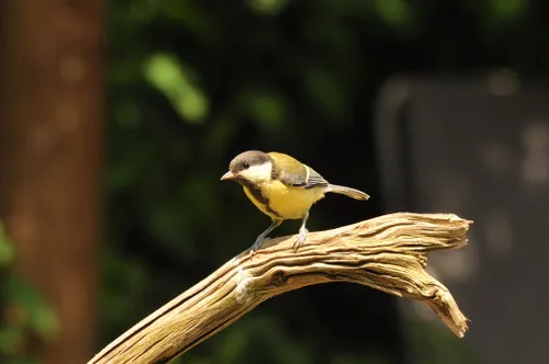 59877060 446376309427951 4696253928780595200 n