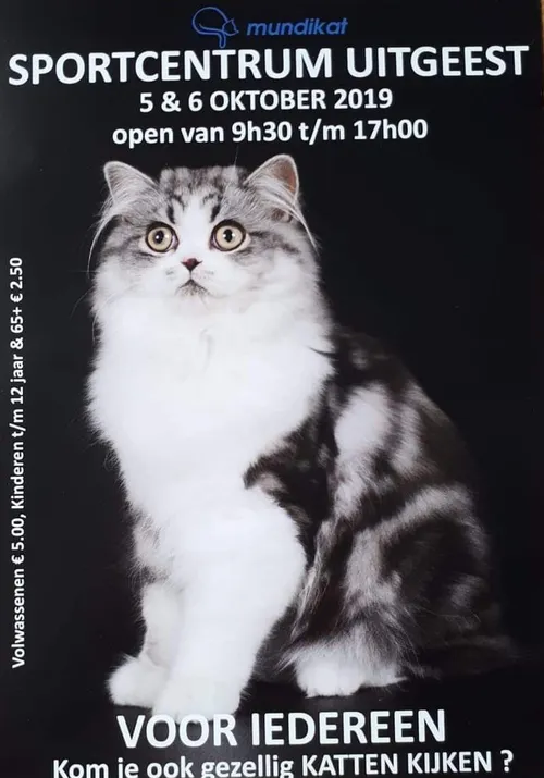 72266053 2800367683307113 5754415655835140096 o