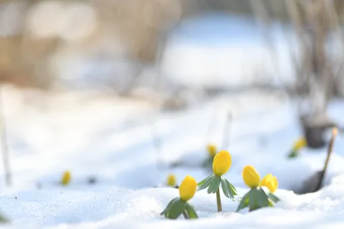 82500870 1026817911026663 7826967496207892480 n