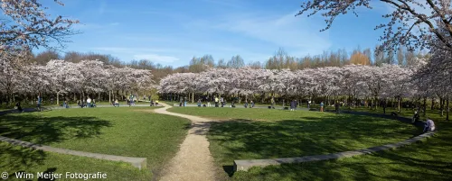 bloempark pano2 wim meijer fotografie