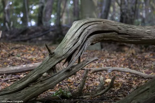 cdnnieuwsnl5i5a5962 1024x683 5580c6b79371fd8e2ee94ce091f15329e093c46c