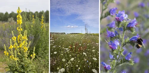 combi aagtenpark wmf