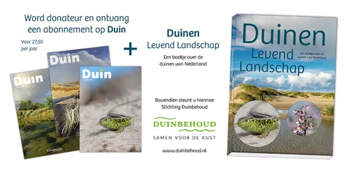 duinen leven landschap duin 1
