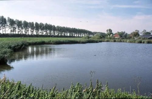 f8d8e556f06988cb24c1ebd81acf8a1a