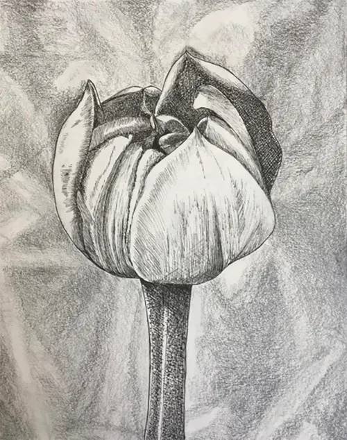 geplakteafbeelding 2