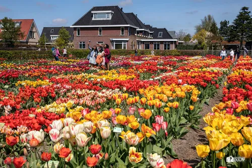 hortus kleurrijk