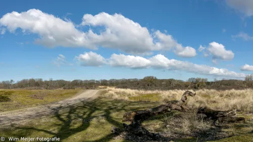 pano2 waterleidingduinen maart 2021 wim meijer fotografie