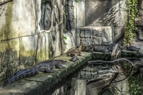 reptielen