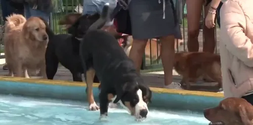 schermafbeelding 2019 08 20 om 112409