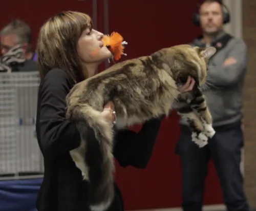 schermafbeelding 2019 10 09 om 123842