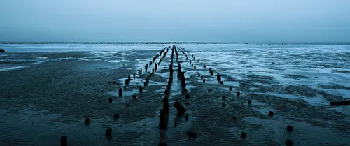 silence of the tides still