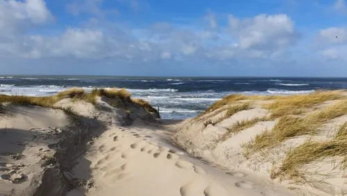 strand texel wim meijer fotografie 915x518