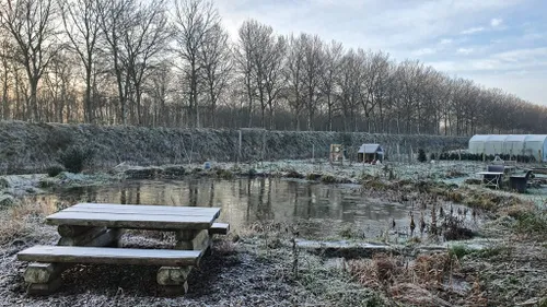 tin vorst wim meijer fotografie 1024x576