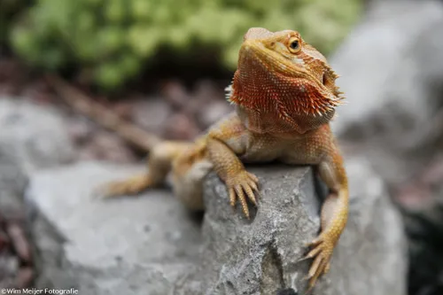 tumblr mrn3rftowi1svvyvco2 1280