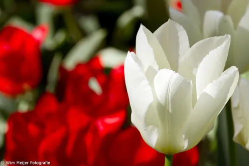 tumblr n4edcxwk3t1svvyvco1 1280