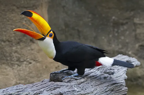 tumblr npl6ahpqdo1svvyvco1 1280