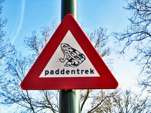 verkeersbord paddenbord marjolein baltus