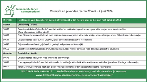 vermiste en gevonden dieren 27 mei e28093 2 juni 2024 scaled