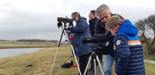 vogelkijkdagen landschap noord holland foto ilse miedema