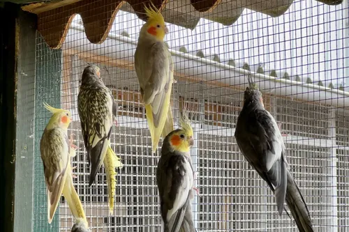 whatsapp image 2023 07 05 at 092433 kopieren