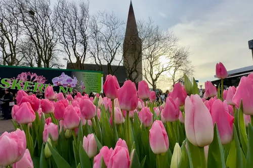 whatsapp image 2024 01 20 at 155046 1